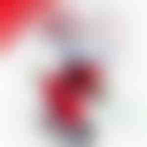 2x Dejojošs Ziemassvētku vecītis | DANCECLAUS