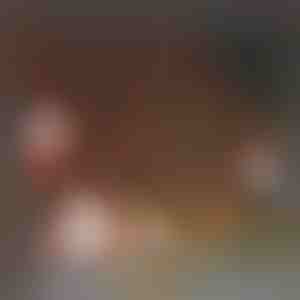 180x Ziemassvētku uzlīmes | XMASCLINGS