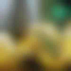 Spīdoša Ziemassvētku lente (500 cm) | SHINESTRAP 1+1 BEZ MAKSAS