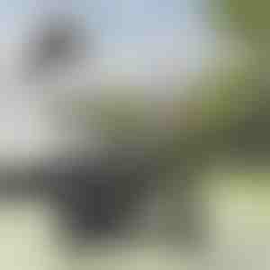 Elektriskais urbjmašīnas sūknis | ROTOPUMP