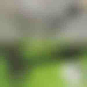 Stāvus lietojams nezāļu noņēmējs | RUNCO