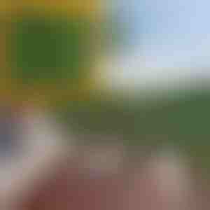 Privātuma panelis ar mākslīgajām lapām | LEAFPANEL