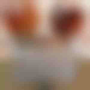 Koka virsmu remonta komplekts (8 krāsas) | WOODPENS