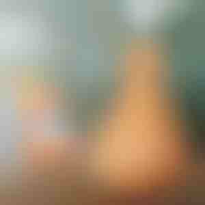 Koka mitrinātājs | HUMISTER