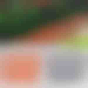 Ķieģeļu stila dārza žogs | TERRABARIC