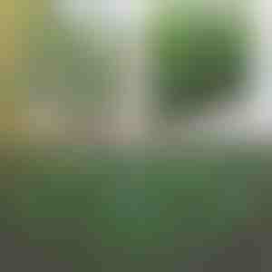 Dekoratīvs un praktisks žogs terasei un dārzam | GREENFENCE