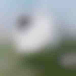 Bez piepūles logu tīrīšana | WINDOWSWIPE