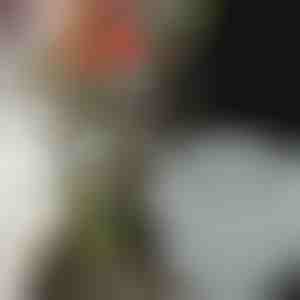 Ziedu turētāji satriecošām kompozīcijām (3 gab.) | VASEKA