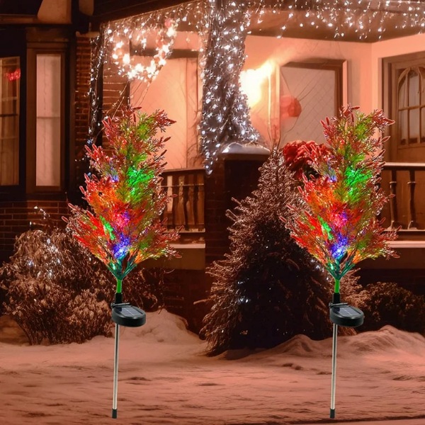 CUPRESSUS