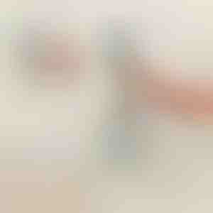 Drošības rokturis dušai un vannai | HANDORKA