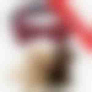 2 x Svinīga kaklasiksna ar sniegpārslām | DOGICOLLAR