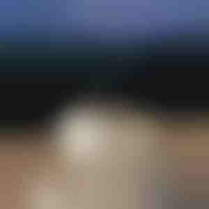 Nomierinošs aromāta difuzors | MEDUSAMIST